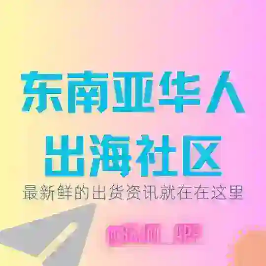 💬东南亚华人社区出海交流群