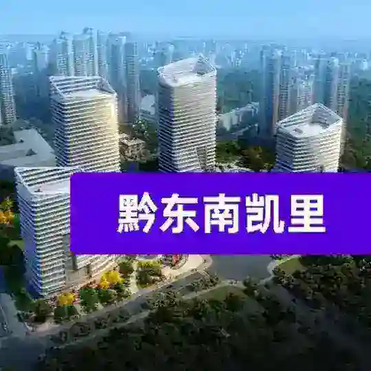 贵州·凯里都市美食修车·总群 【成员股东群】