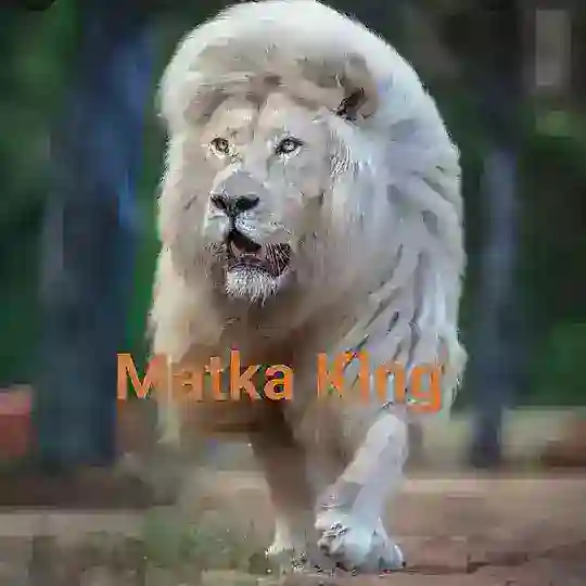 Kalyan Satta matka group