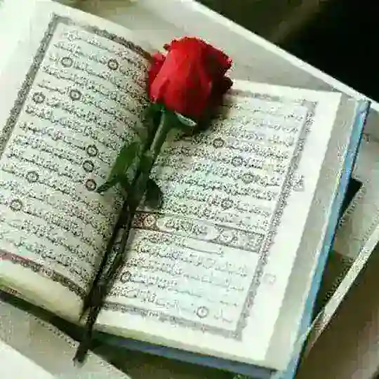 ٫۰صیغه یابی حلال و قانونی ازدواج موقت حلال