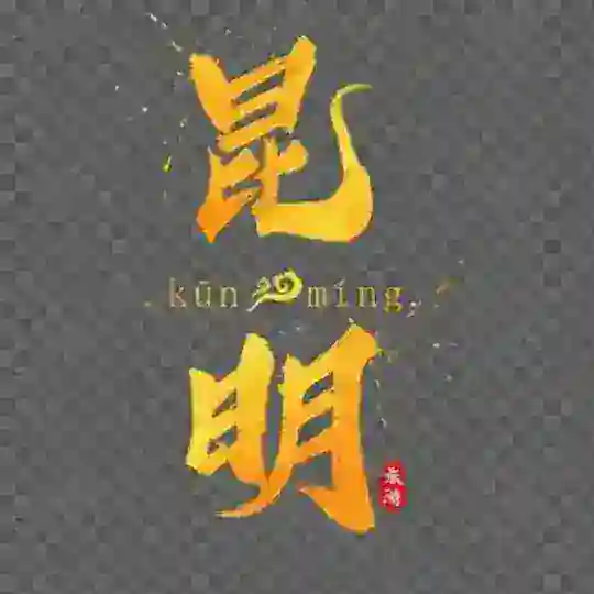 昆明修车极品