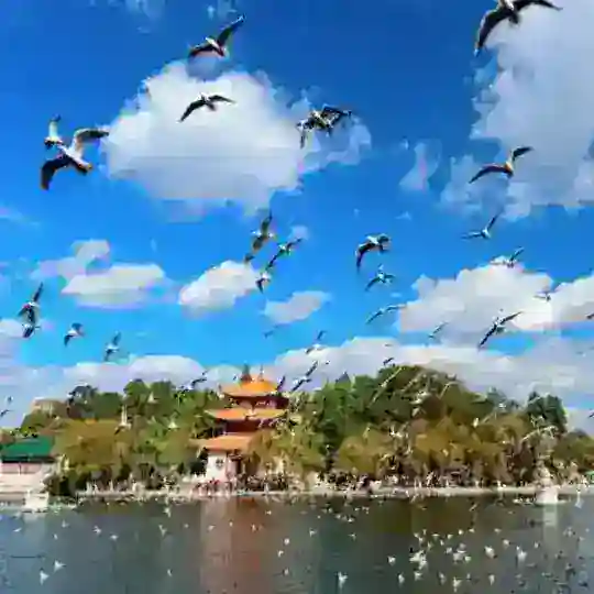 昆明修车