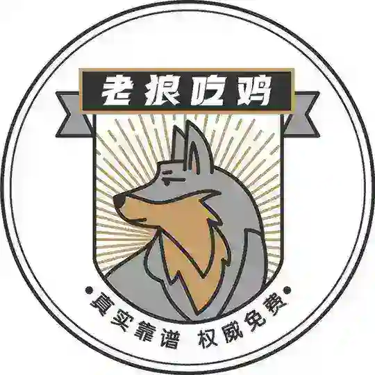 成都老狼修车群
