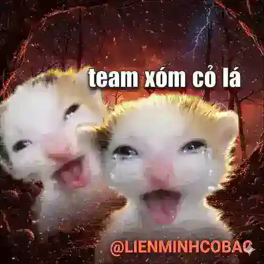𝐋𝐈𝐄𝐍 𝐌𝐈𝐍𝐇 𝐂𝐎 𝐁𝐀𝐂