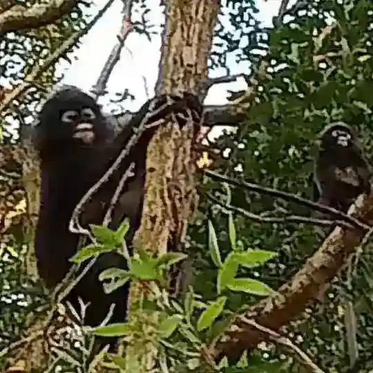 零贰交易群🐒