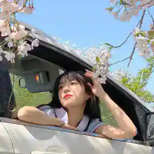 中华 萝莉 jk 清纯 🔞🦋