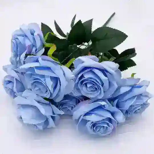 مشاريع الطلاب الدراسية🌻