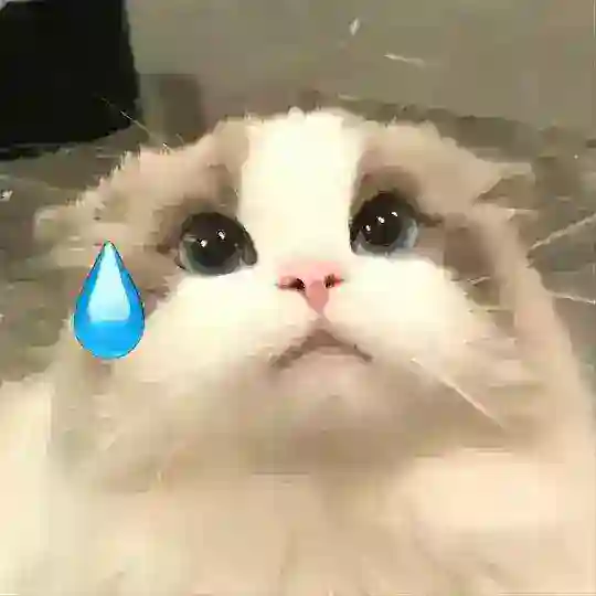 𝐋PM N𝐈SFA