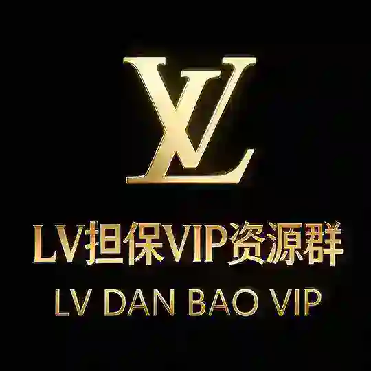 LV担保公开VIP资源群