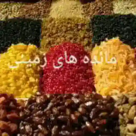 مائده های زمینی
