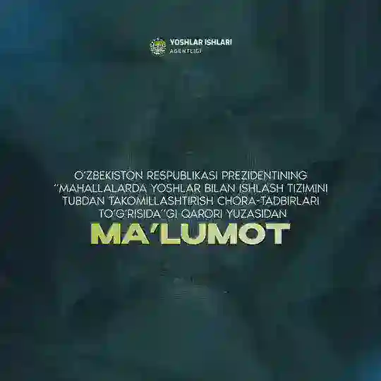 YIA Mahalla yetakchilari kundaligi Chat