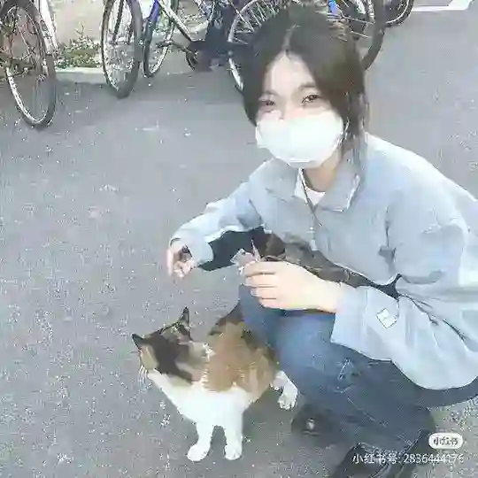 买卖群/宣传群