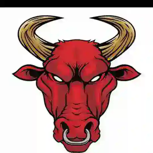 MCX BIG BULLS FREE CALLS π