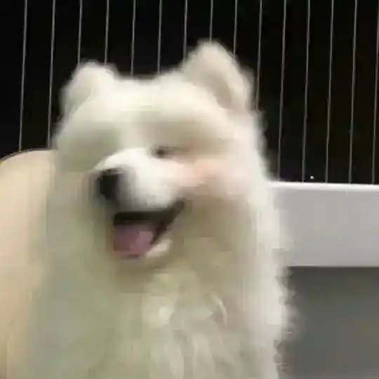 𝐦𝐨𝐨𝐧𝐥𝐢𝐠𝐡𝐭 買賣宣傳群