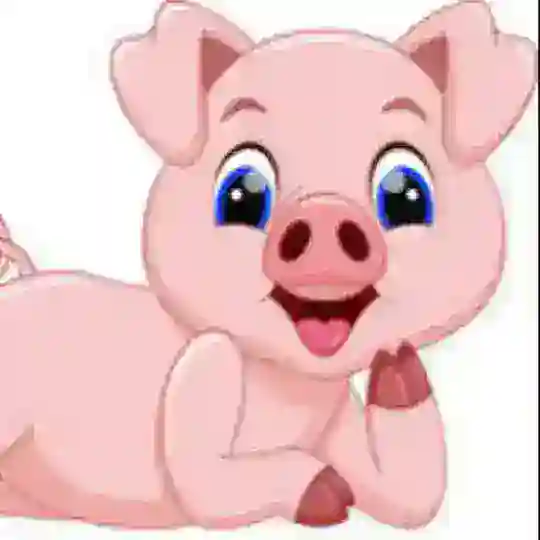 កូនជ្រូកទី9💦🫦