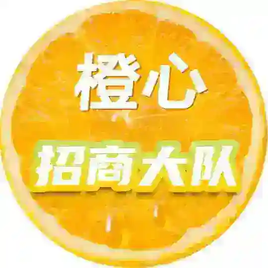 海外最牛招商聚集地