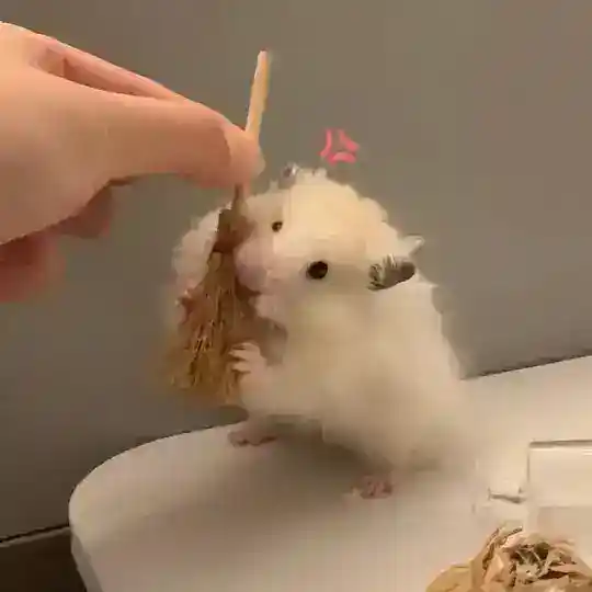 𝕞𝕪宣传•交易群1️⃣