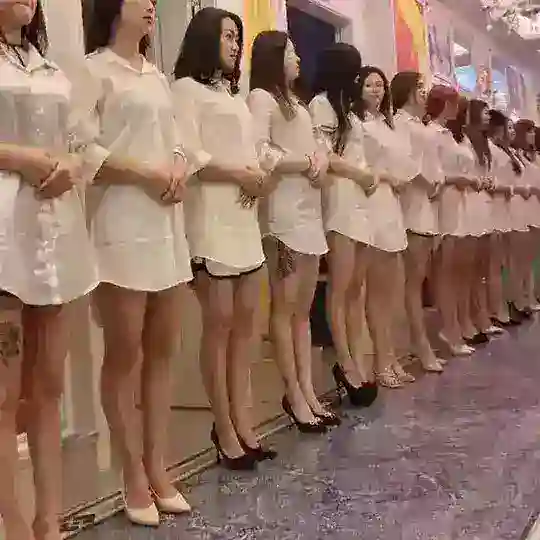 天河、海珠、番禺、白云楼凤