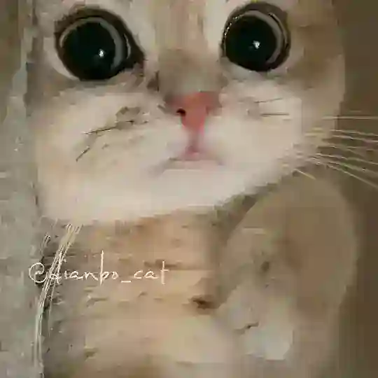 奶猫买卖群