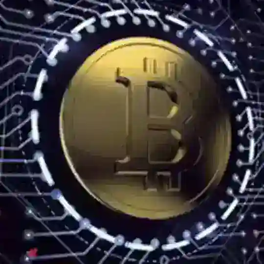 还看金招