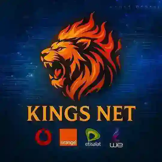 ثغرات نت مجاني كونفجات مصر