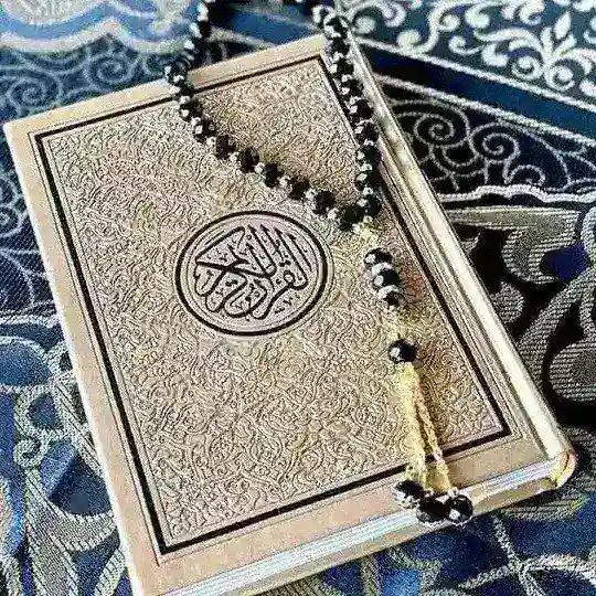 صیغه یابی و همسر یابی ایدآل همدم 💍💍