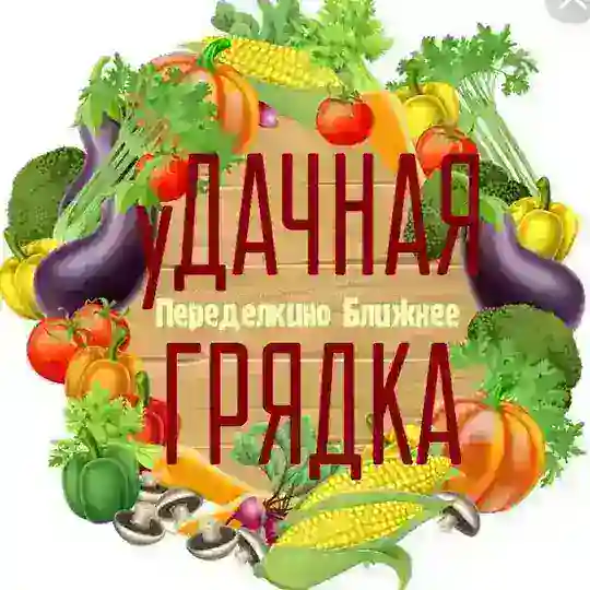 уДАЧНАЯ 🍒ГРЯДКА ЖК ПБ🍅