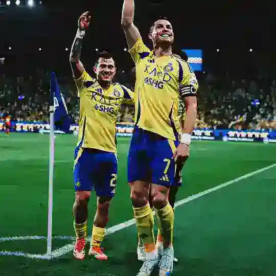 体育世界杯⚽️