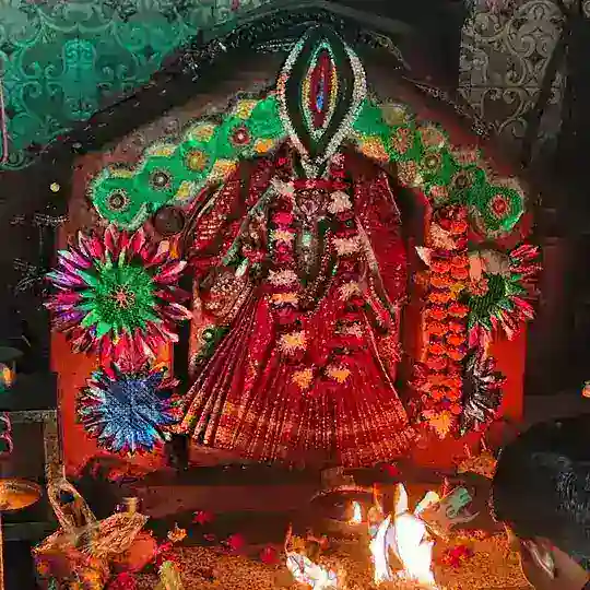 सुमित भाई ऑनलाइन खाईवाल (10 के 1000 )
