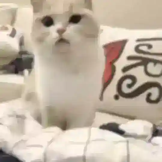 تبلیغات آزاد