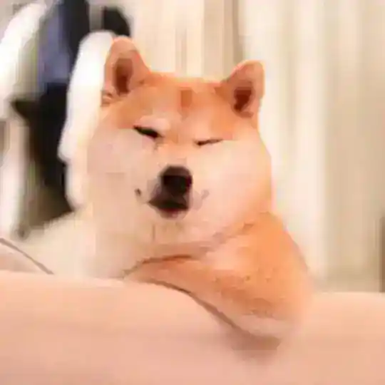 东邪