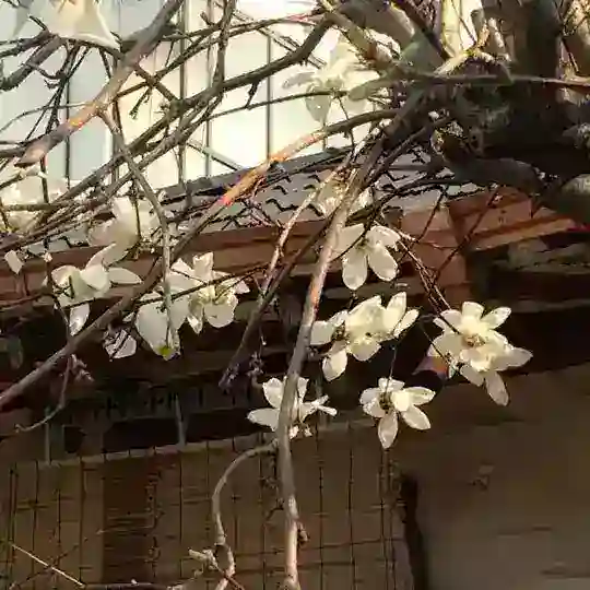 ПИАР ЧАТ | Фриланс