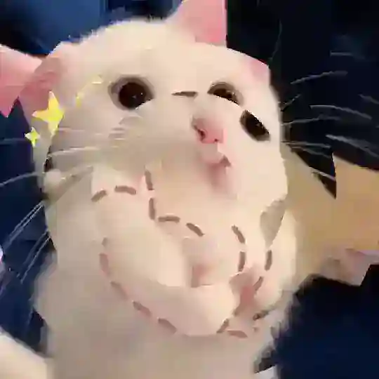免费飞机会员表情包