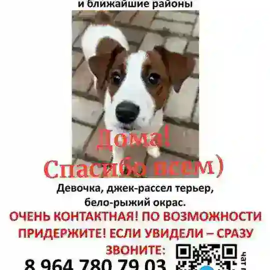 Миню НАШЛИ 🎉🎉🎉
