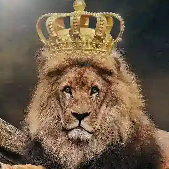 Lion store