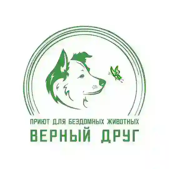 Чат приюта "Верный Друг"🐕🐈‍⬛️