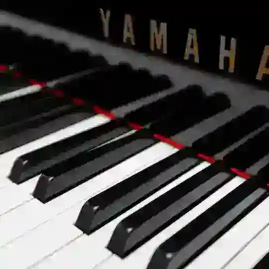 Keyboardist group🎹🎹🎼🎧🎺