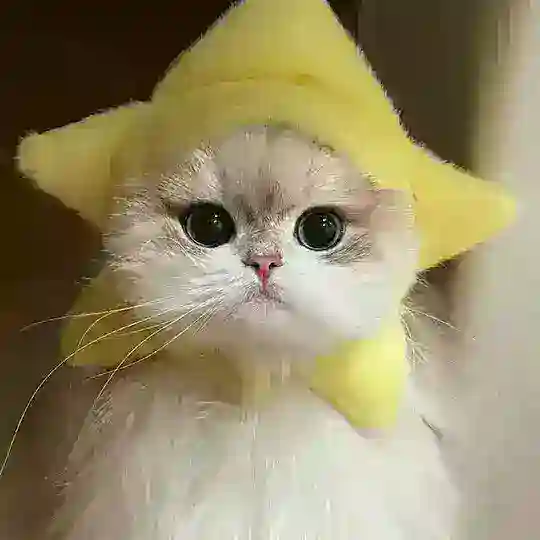 PUPPY ( BOTX )