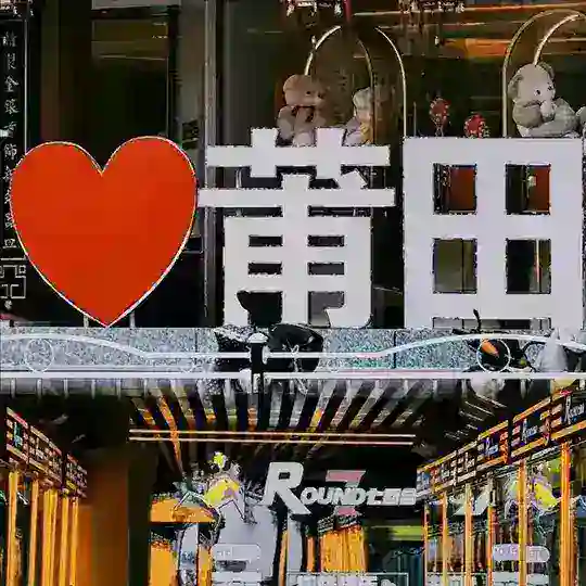 福建（莆田泉州晋江厦门）出击群