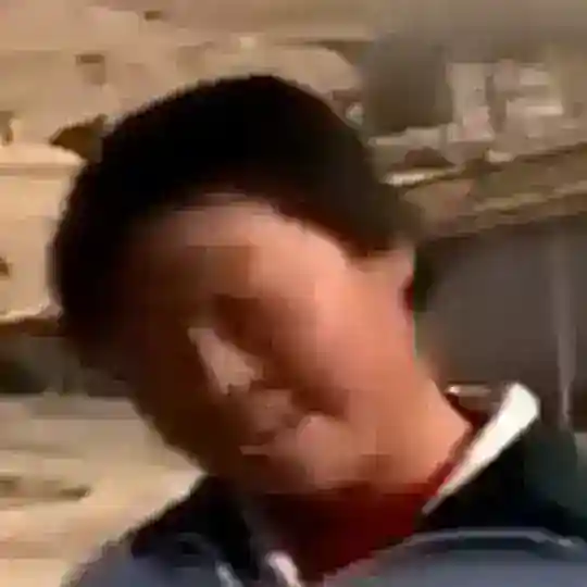 麦兜