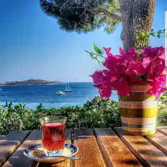 HUZUR SOKAĞI 🤗❤️