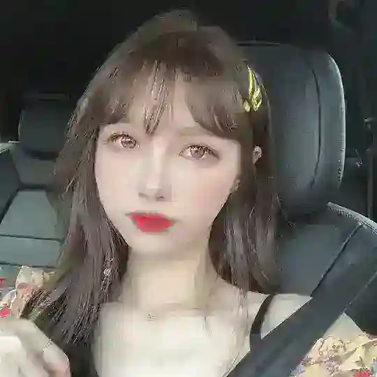 百万鉴黄_修车鉴黄《禁广告》