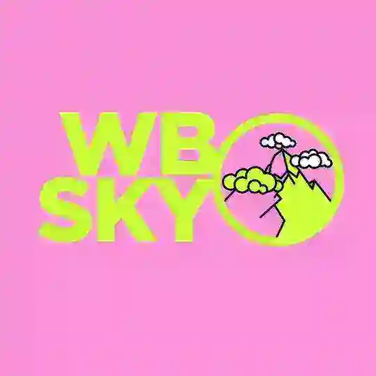 БЛОГЕРЫ ДЛЯ РЕКЛАМЫ WB / 🏔 SKYMOUNT Чат