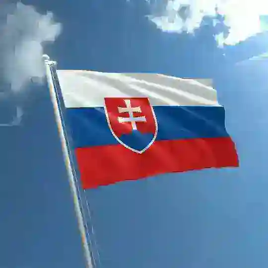 Русские в Словакии. Чат.