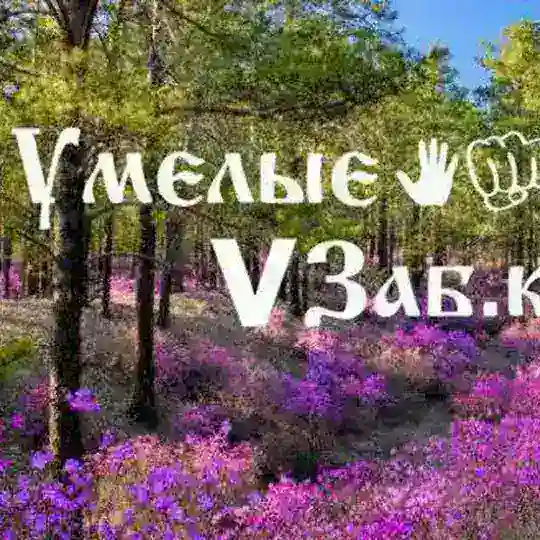 Умелые👋👊ZAсвоихVЗаб.Край🇷🇺🇷🇺🇷🇺Паучки 💪отряд Гуран