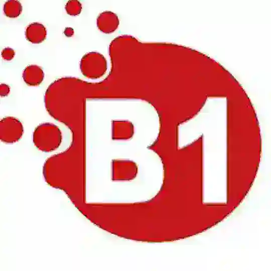 B1 telc