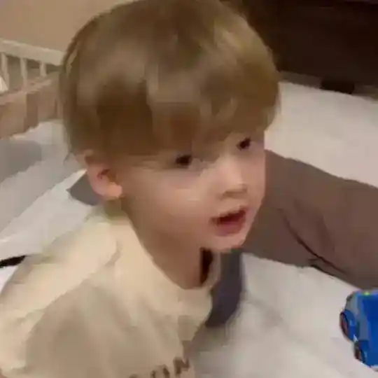 鲨鱼买卖群