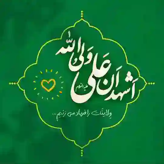 نقد شیعیان سنّی زده | گروه