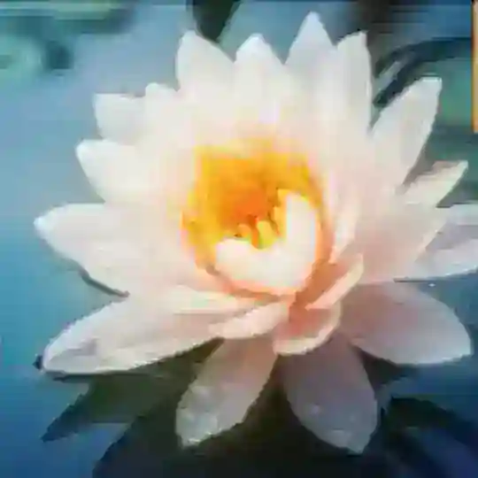 世界要真善忍