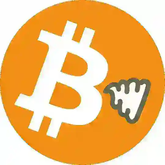 shitcoin™